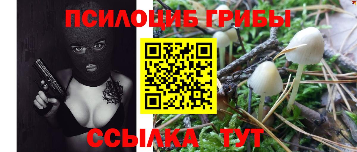 Елабуга  Псилоцибиновые грибы ЛСД  Вход с VPN  Галлюциногенные грибы Cubensis 